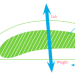 bernoulli